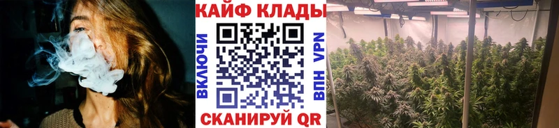 Лсд 25 Звенигово
