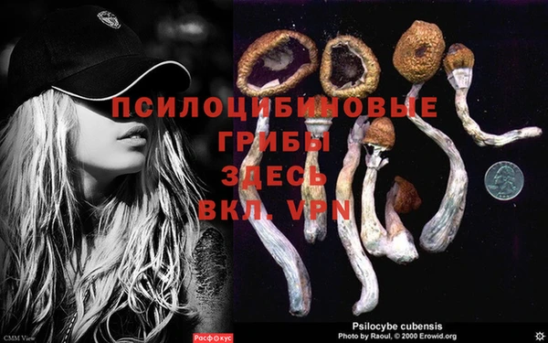 тгк Аркадак