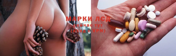 тгк Аркадак