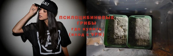 соль ск Арсеньев