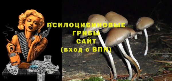тгк Аркадак
