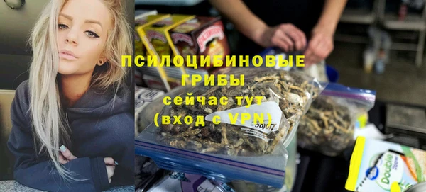 ПСИЛОЦИБИНОВЫЕ ГРИБЫ Ахтубинск