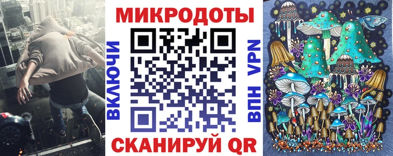 Псилоцибиновые грибы Psilocybine cubensis  Звенигово 
